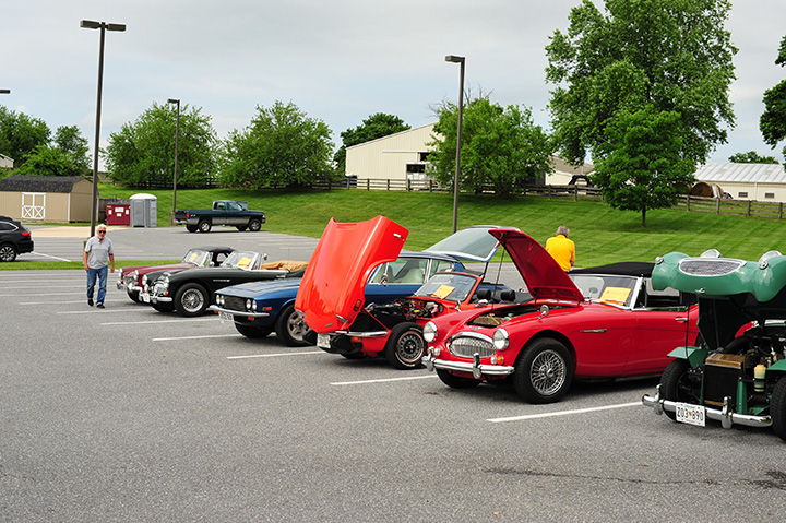 Another view of the Healey lineup.